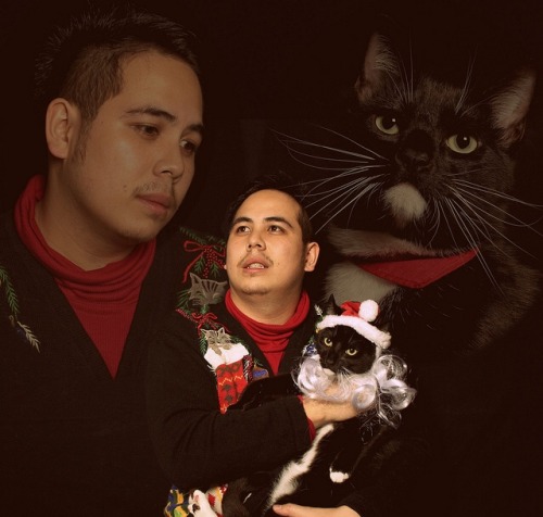 unicornempire - coolcatgroup - Awkward family portraits with cats will always be one of my favorite...