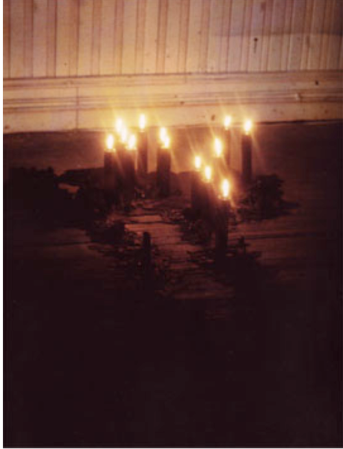 arterialtrees - Ana Mendieta, Nanigo Burial, 47 black ritual...
