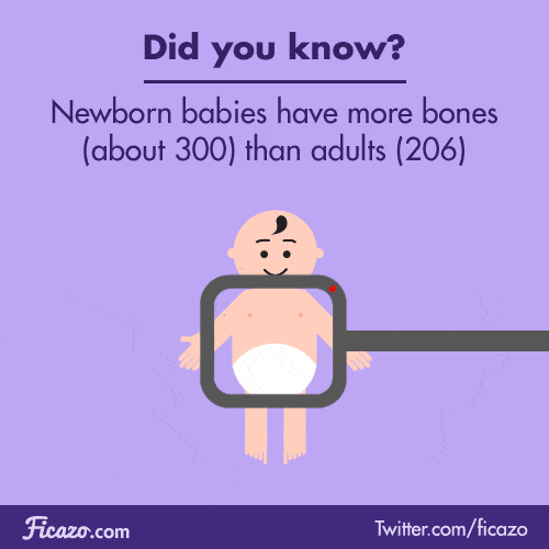 While adults normally have 206bones, babies start out with a skeletal mix of about 300 different bones and cartilage elements. Various adult bones, such as the cranium, start off in life as several different fragments. At birth, the cranium has three...