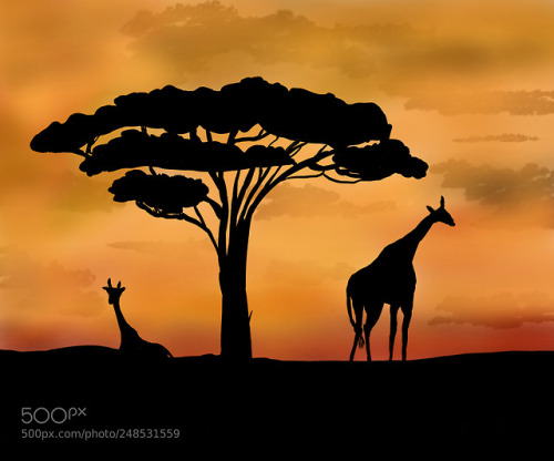 omgchoppedgoateedinosaurfan - giraffe africa by robertoriservato