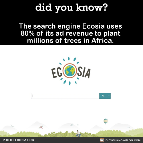 did-you-kno-the-search-engine-ecosia-uses-80-of