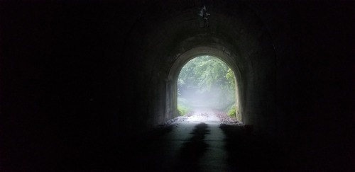 Misty Tunnels and Spider LiliesSnaps from an early Fall...