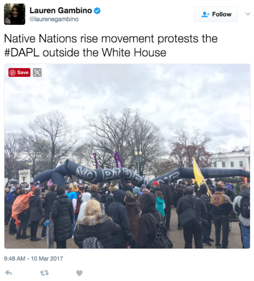 mediamattersforamerica - The Native Nations March is currently...