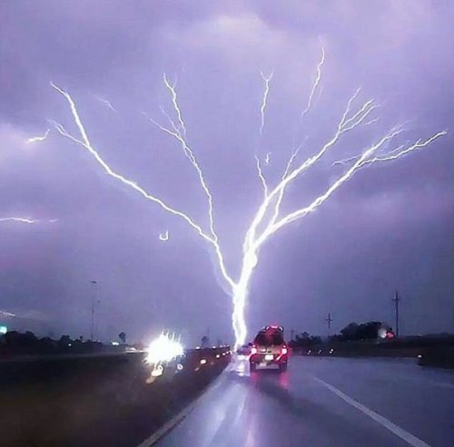 woahdudenode - Tree lightning
