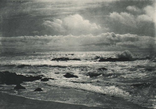 dame-de-pique:William Boyd Post - The seal rocks, Monterey...