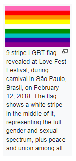 aquarian-villain - QuestionWhy is no one talking about the rainbow flag that got shown at the love...