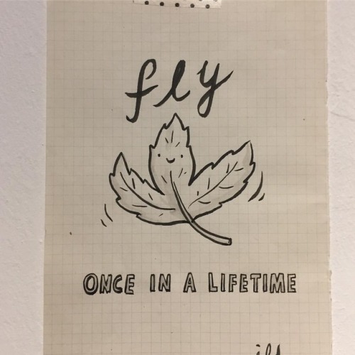 ilovedoodle - Fly, once in a lifetime. By @limhengswee aka I Love...