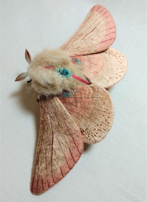 sosuperawesome - Moth and Butterfly Fibre Sculptures, by Yumi...