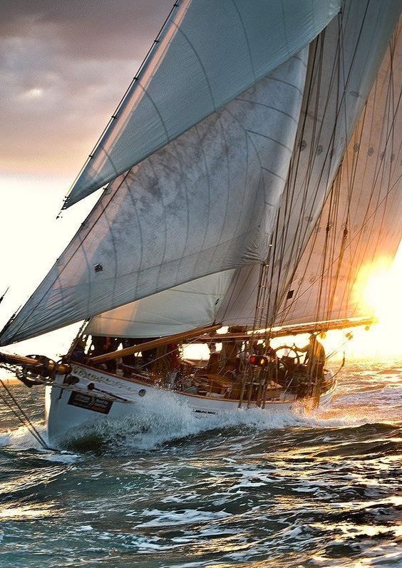 seavento:
“vintagesailboats:
“https://vintagesailboats.tumblr.com
”
Be part of a winning team. Book your leg for the tall ships races 2018.
seavento.de/en/
”