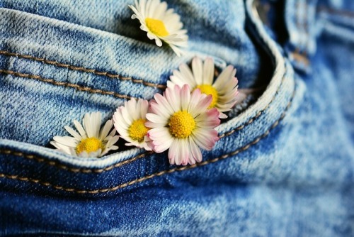 teen-agers - pages - Fashion / Denim + Nature / Flowers