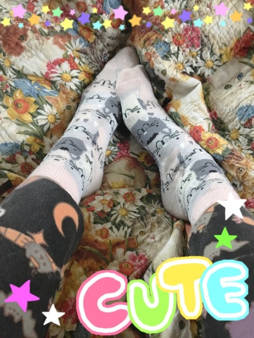strawberrykitten - I got some really cute socks the other day!...