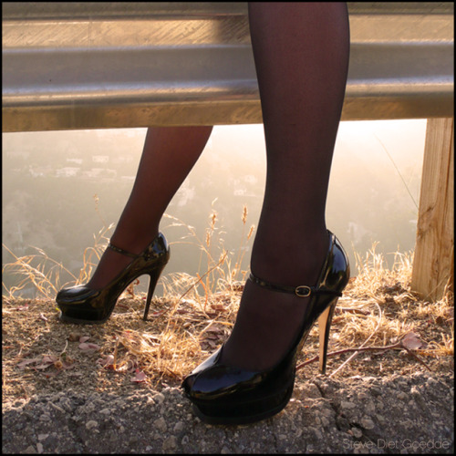 stevedietgoedde:Yves Saint Laurent Shoes, Hollywood Hills 2008...