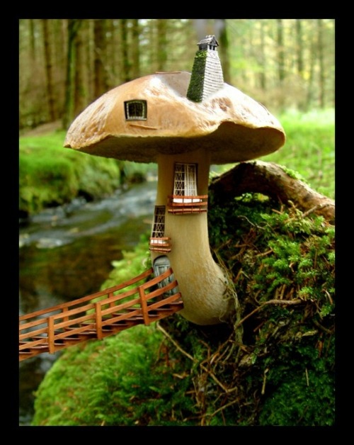 teenytinee:(via A tiny little mushroom house where little tiny...