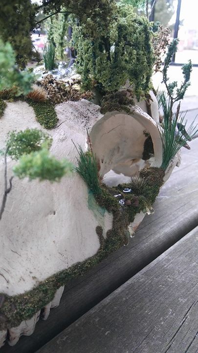 headspacestudio - Kelpie Marshlands Skull Island - Horse Skull 