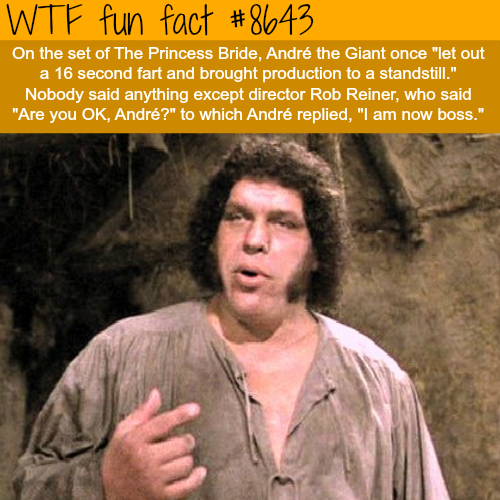 nunyabizni - wtf-fun-factss - Andre the Giant’s fart - WTF fun...