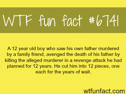wtf-fun-factss - A 12 year old boy planned a murder for 12 years...