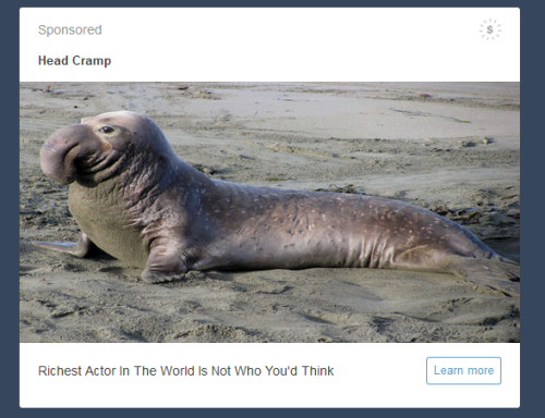 slumbermancer - this famous elephant seal’s name is HEAD CRAMP.