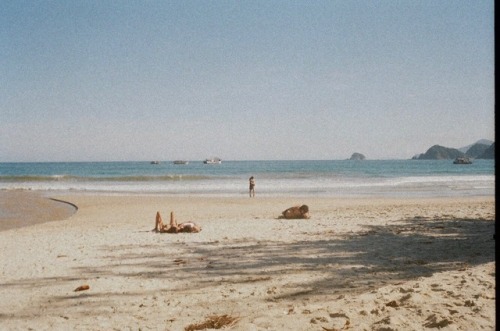 dog-bowl - Praia do Sono, Paraty. 35mm film