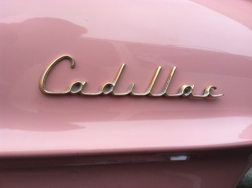 chromeography - 1957 Cadillac front fender emblem (by Erin Ellis...