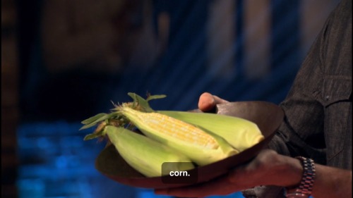 princealigorna - loreweaverzoa - Behold Corn!
