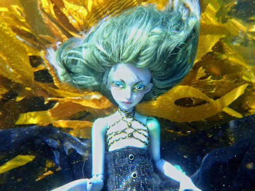 nyxypixie - cenniedolls - Perfect concept Cytus~ Cold water and...