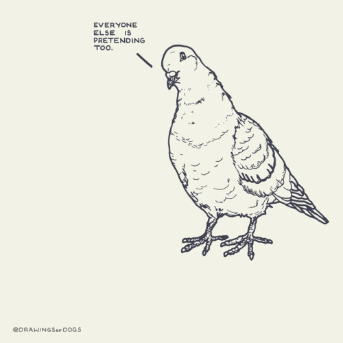drawingsofdogs - Profound Pigeons (I only work alliteratively). A...