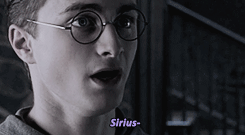 halfadream - “Study what?” said Harry blankly. Snape’s sneer...