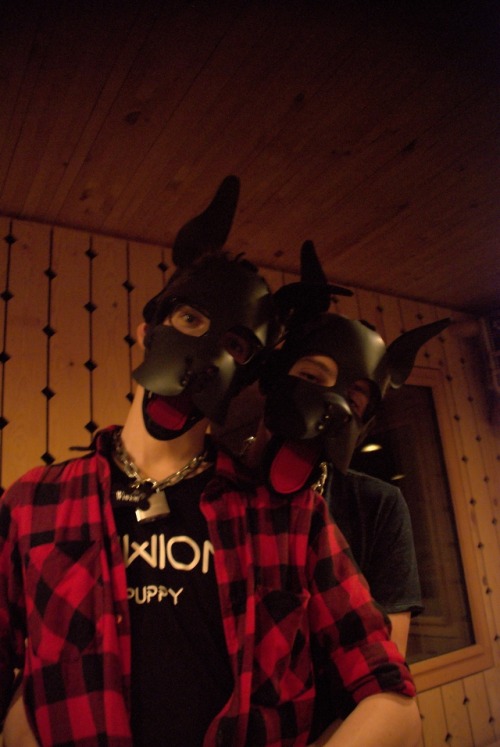 pupwiwion - Last weekend a new pup is born! @gaycuriousboy94, my...