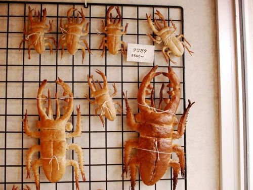 kawaiipriivilege - bread bugs