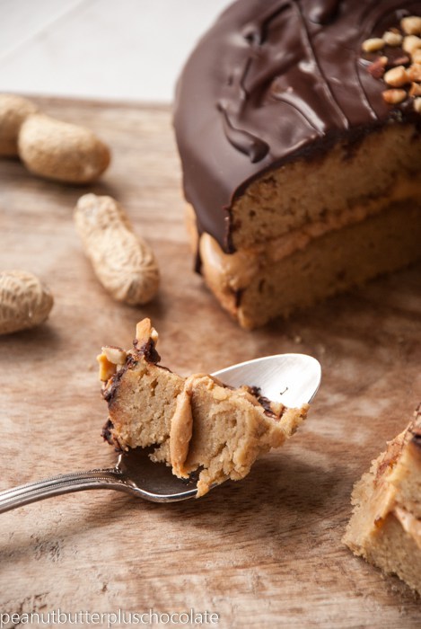 fullcravings - Healthy Peanut Butter Banana Cake with Chocolate...