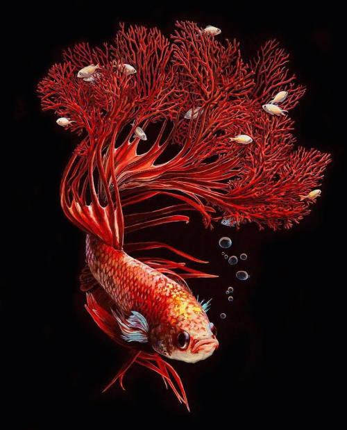 culturenlifestyle - Hyper Realistic Paintings of Exotic Fishes...