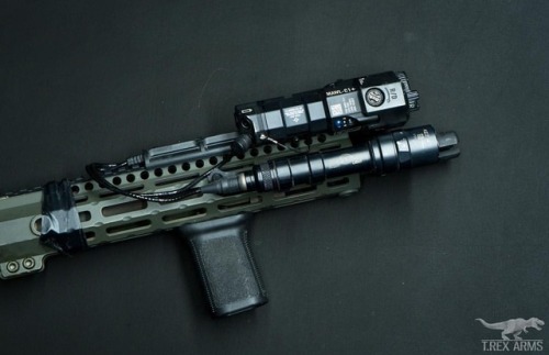 trexarmskydex - Midwest Industries rail. BE Meyers MAWL. Surefire...