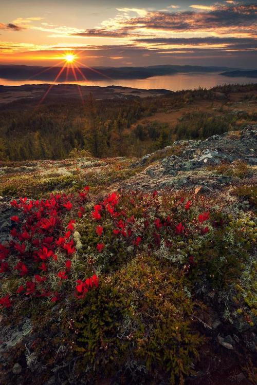 thebeautifuloutdoors - A glimpse of autumn - Trondheim,...