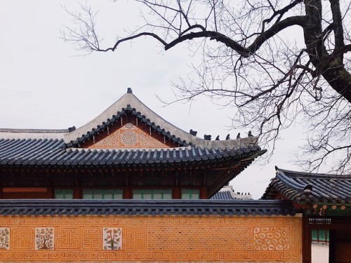 Flower wall, or kkotdam, at Gyeongbokgung Palace.