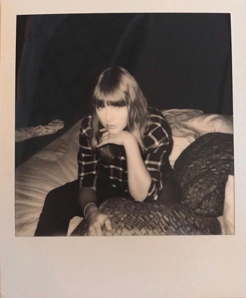 thefuckingstory - taylorswift - I’m writing this post about the...