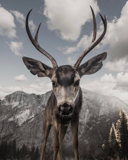 creatures-alive:by jeff.n.brenner