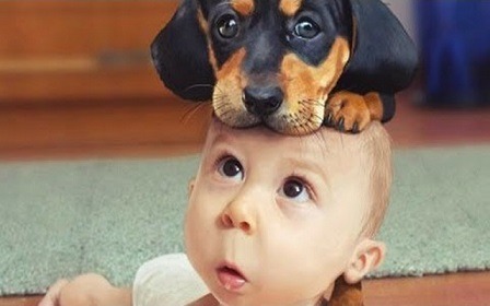Image for funny baby with dog