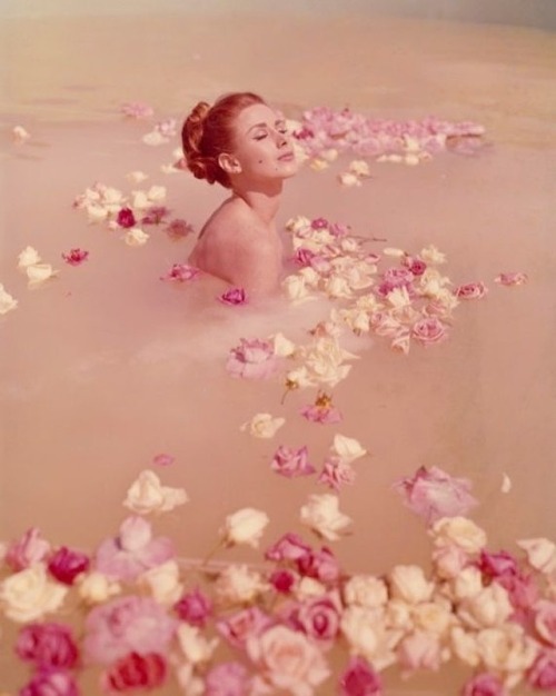 andantegrazioso - Justine Silver, Milk of roses | Photo by Henry...