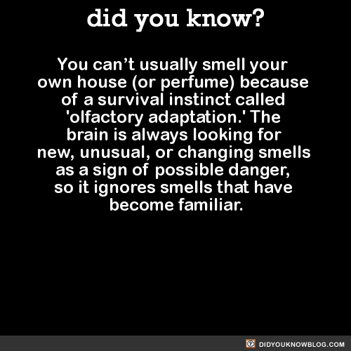 did-you-kno-you-cant-usually-smell-your-own