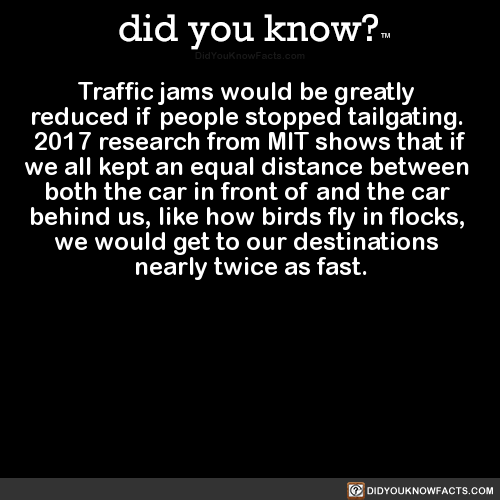 traffic-jams-would-be-greatly-reduced-if-people