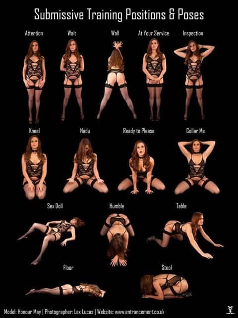 beautifullybrokensubmissive - S-type Positions…Which one is...