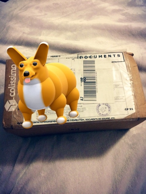 dollycoffee:Box opening! Look who came! This is Choma from...