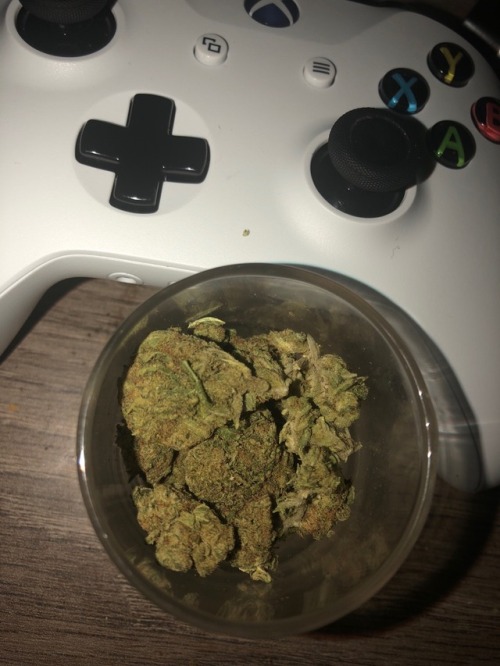 raving-hippie - Pineapple Express and Xbox ❤️‍♂️