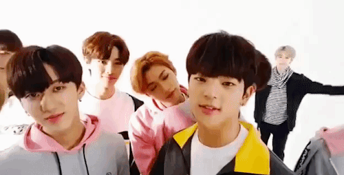 stray-but-okay - *Watches Vlive* Me - Awe look at my boys…wait...