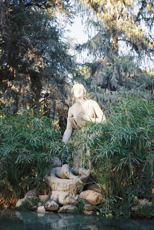 Park statue, Rome