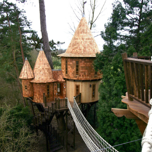 archiemcphee - This awesome arboreal dwelling is the Living the...