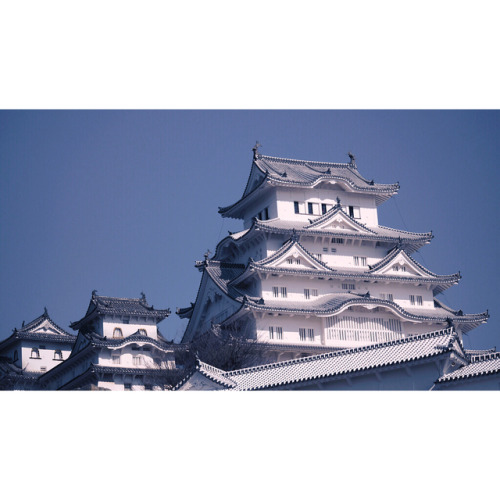 The most beautiful Japanese’s castle for me (at Himeji Castle)