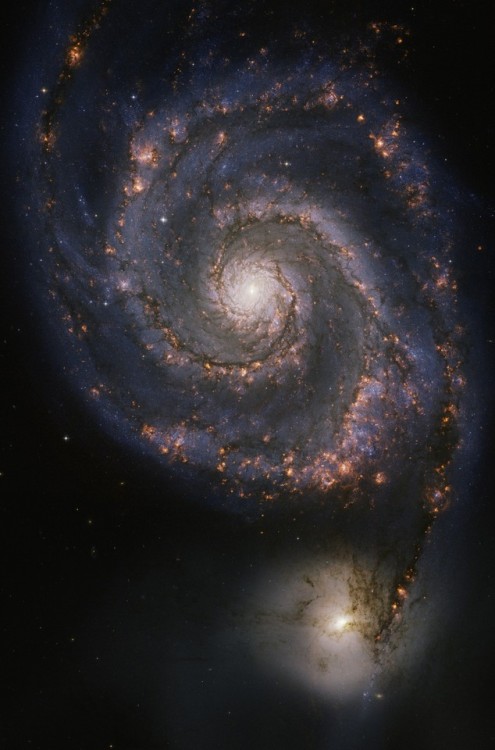 astronomyblog:Messier 51, known as the Whirlpool Galaxy, is a...