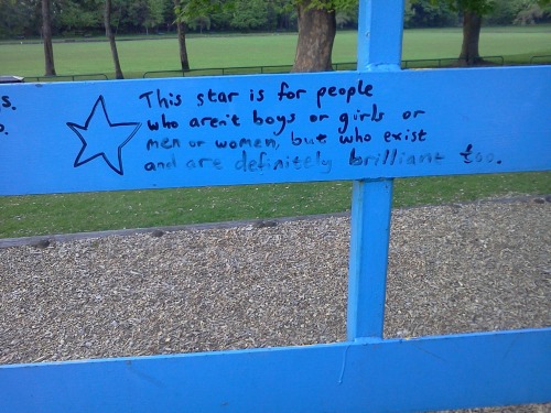 queergraffiti - “This star is for people who aren’t boys or girls...