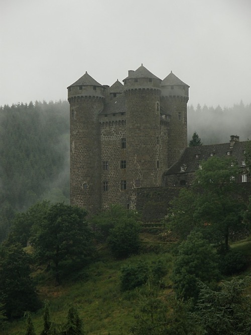 medieval-woman - château d'Anjony / Anjony castle by...